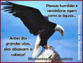 /album/galeria-de-fotos/a408206-468664879830870-1471991749-n-jpg/